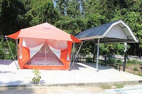 Demy Home