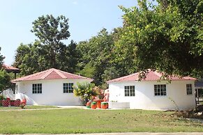 Demy Home