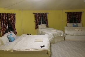 Demy Home
