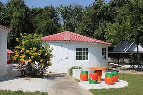 Demy Home