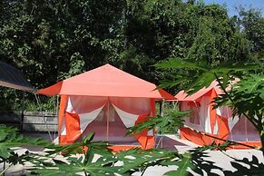 Demy Home