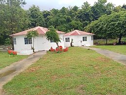 Demy Home
