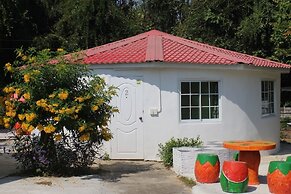 Demy Home
