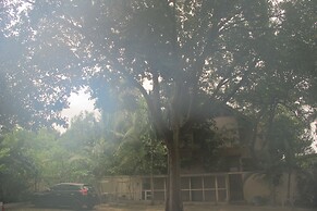 AP Apartment