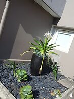 SUN1 Durban