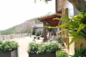 Alishan Tea Garden