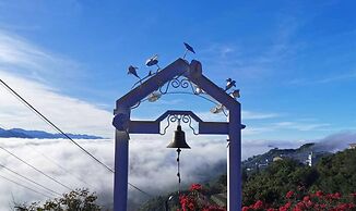 Alishan Tea Garden
