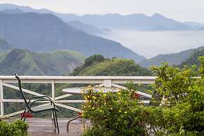 Alishan Tea Garden