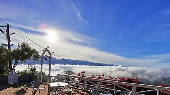 Alishan Tea Garden