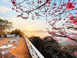 Alishan Tea Garden