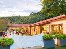 Alishan Tea Garden