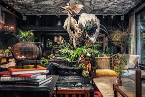 The Mandrake
