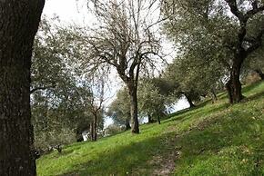 Agriturismo Le Francesche