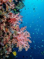 Murex Manado Dive Resort