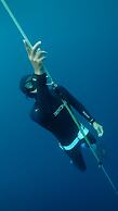 Murex Manado Dive Resort