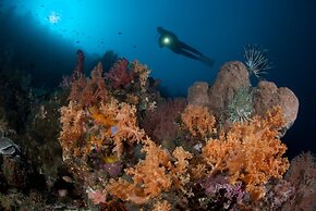 Murex Manado Dive Resort