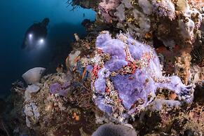 Murex Bangka Dive Resort
