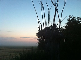 Askø Bed & Breakfast
