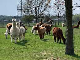De Koolputten