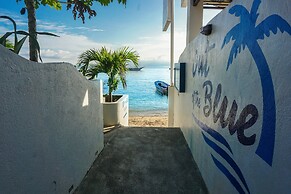 Out of the Blue Resort