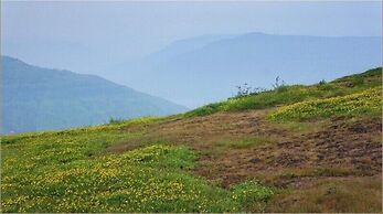 Sterling Panchgani