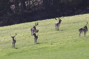 The Stag and Huntsman