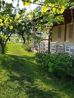 Nar Bagevi