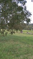 Kinross Metcalfe Farm