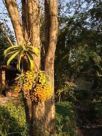 Baan Huay Namrin