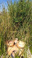 Uros Balsero