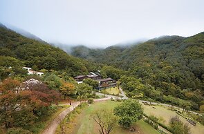 Healience Seonmaeul