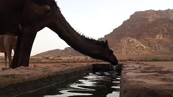 Bedouin Traditions Camp