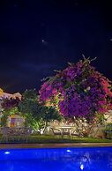 Grandma's Garden