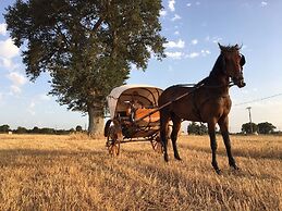 Tenuta Suite 801