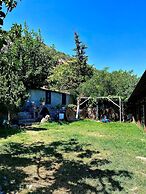 Aristo Pension