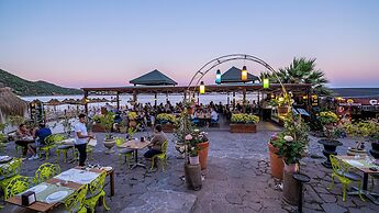 Aristo Pension