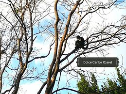 Dolce Caribe B&B
