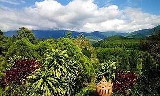 Navasoung resort