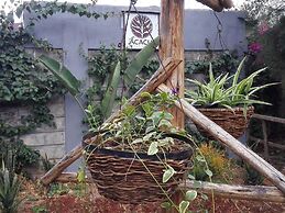 Acacia Tree Lodge