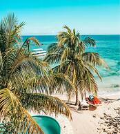 Marquis Paradise
