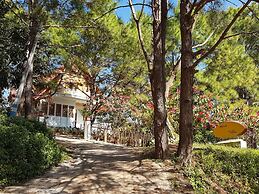 Hillock Villa