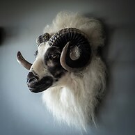 Hestheimar