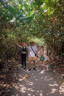 Ecohotel Yachay Tayrona
