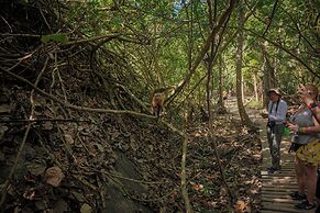 Ecohotel Yachay Tayrona