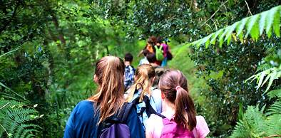 VVF Landes Moliets