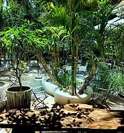 The Fish Phu Quoc