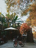 The Fish Phu Quoc