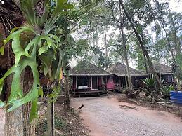 Pang Mai Resort