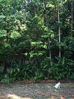 Fern House Retreat