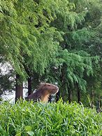 River Forest Leisure Farm